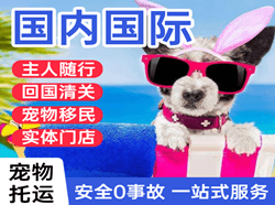 义勒力特机场物流国际宠物托运 【国
